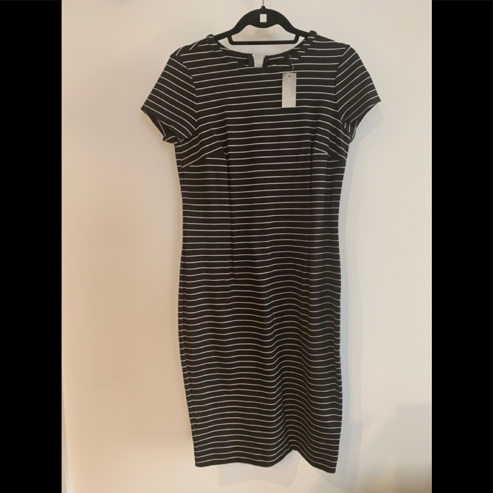 Ann Taylor Navy Striped Dress- NWT